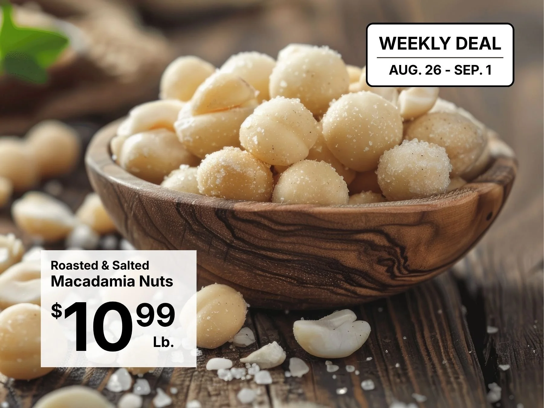Macadamia Nuts