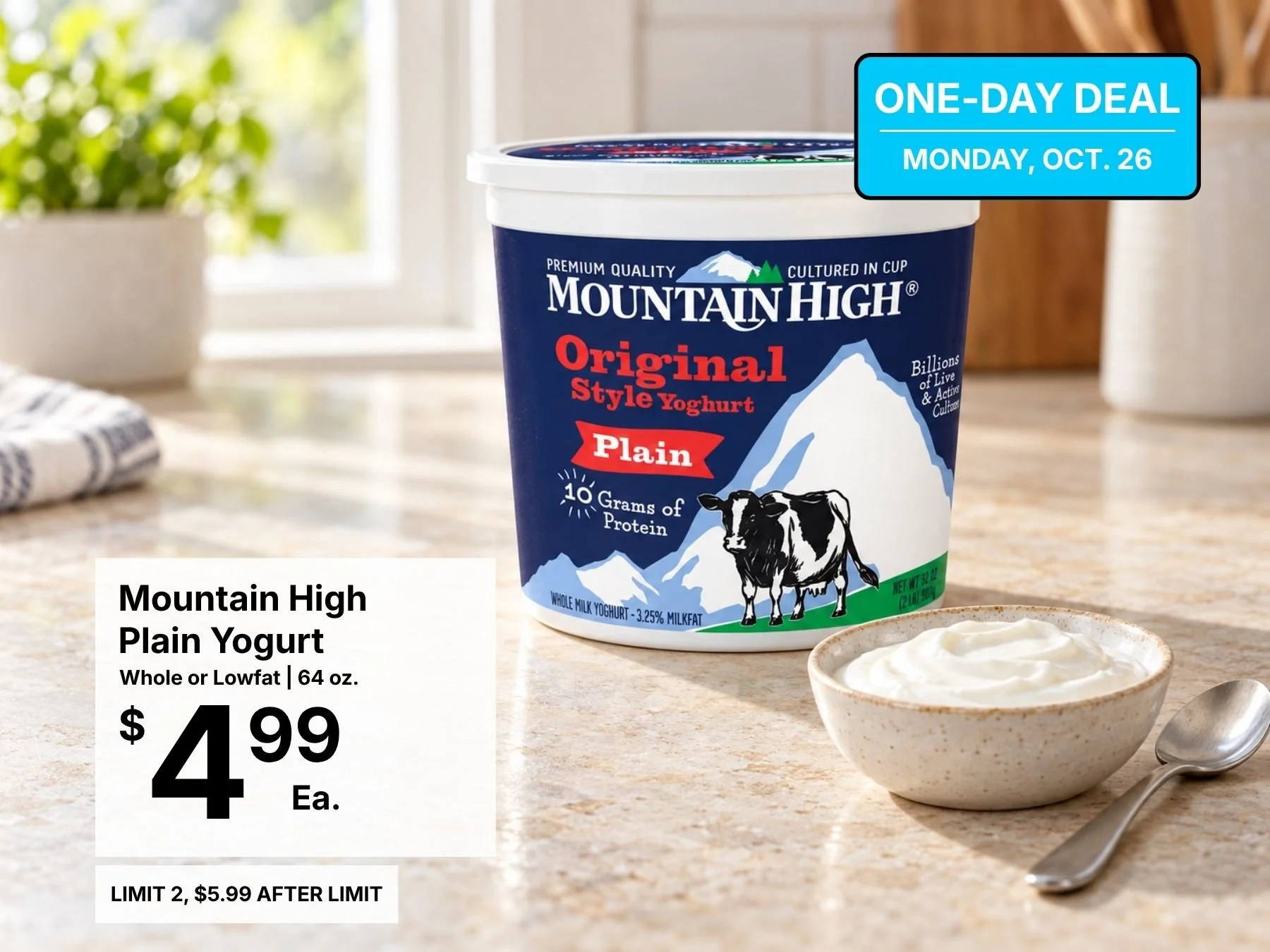 Mountain High Plain Yogurt