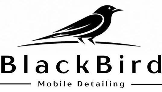 Blackbird | Mobile Detailing