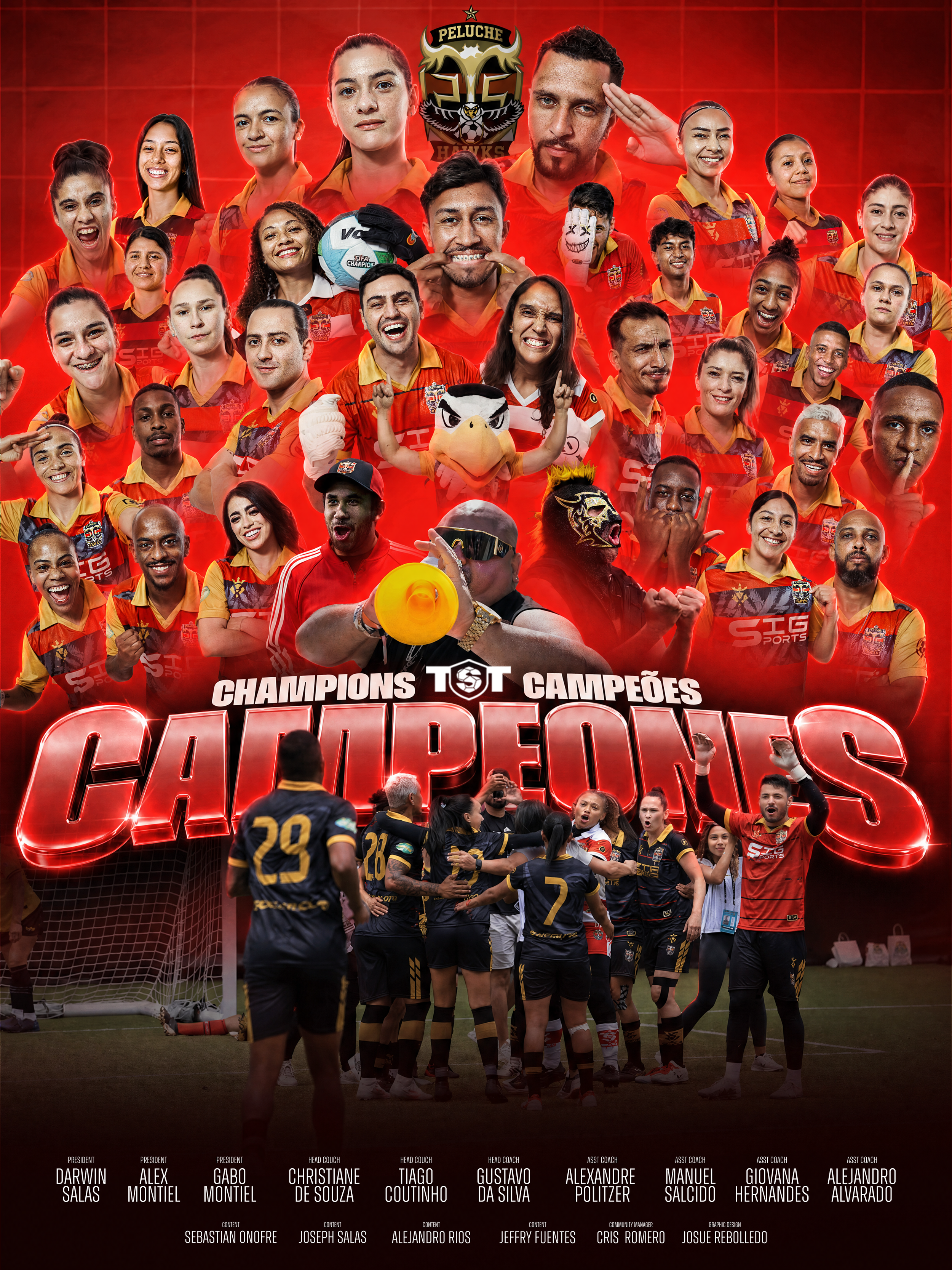 Peluche Hawks | TST 2026