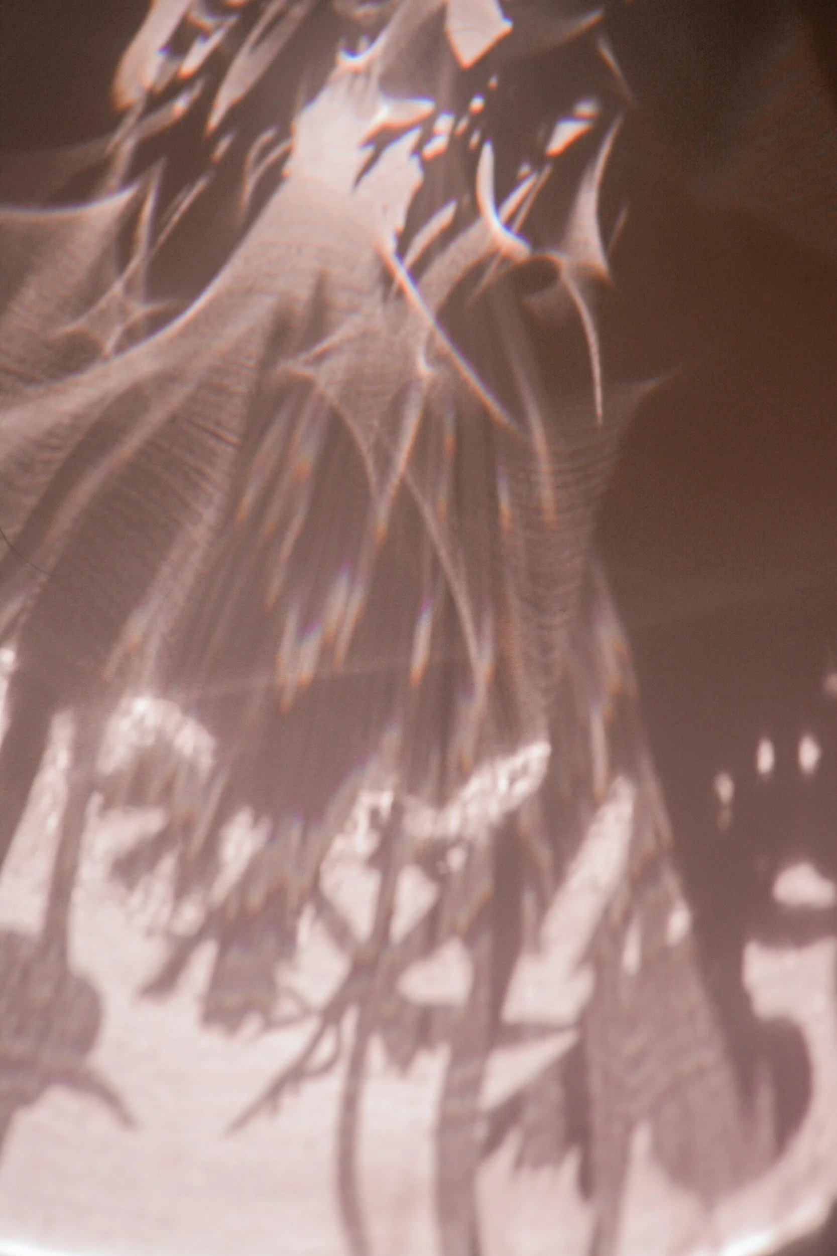 A decorative photo of light shining on a wall.