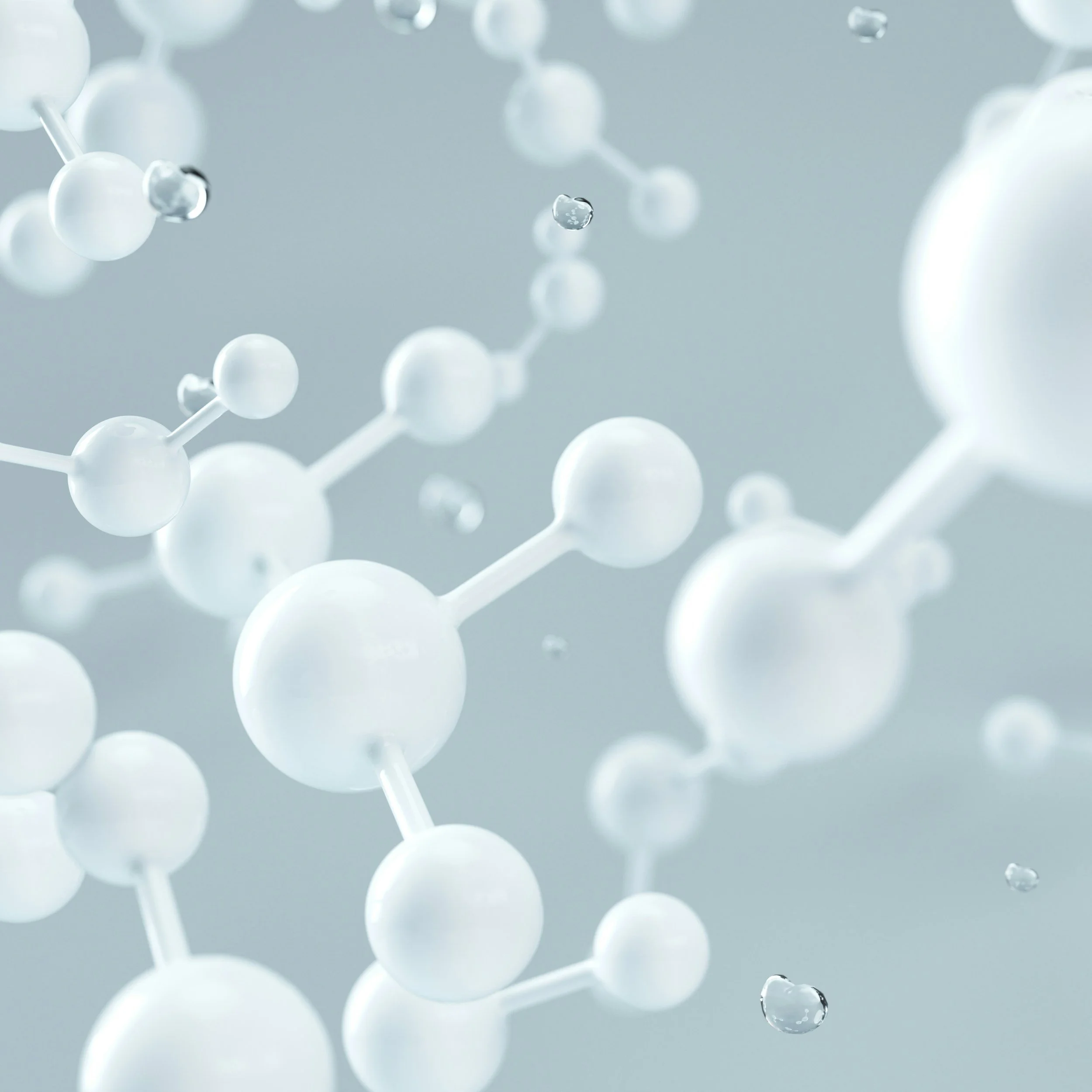 SN1, SN2, E1, E2: How to Tell Them Apart