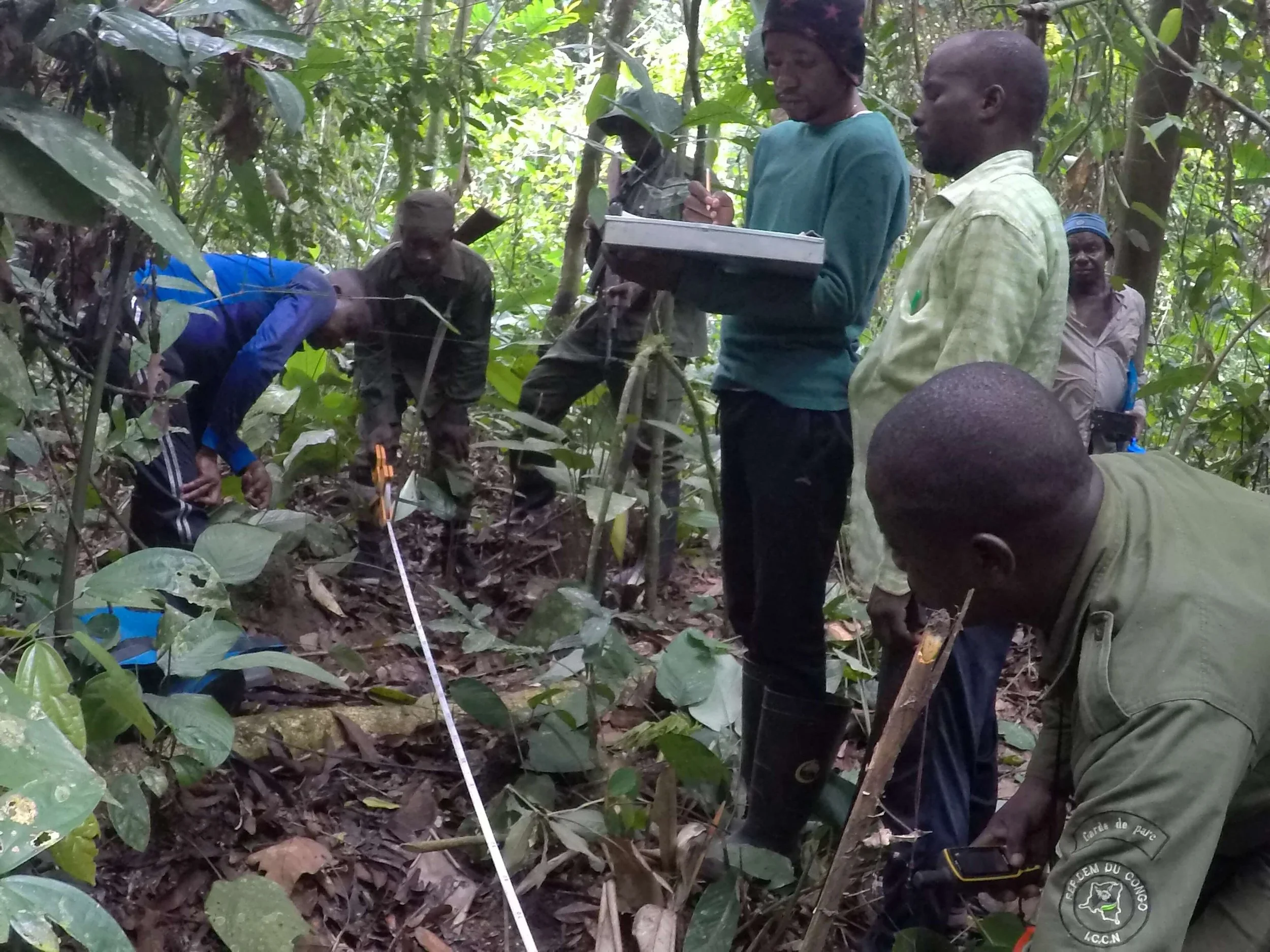 What’s happening at SCI header