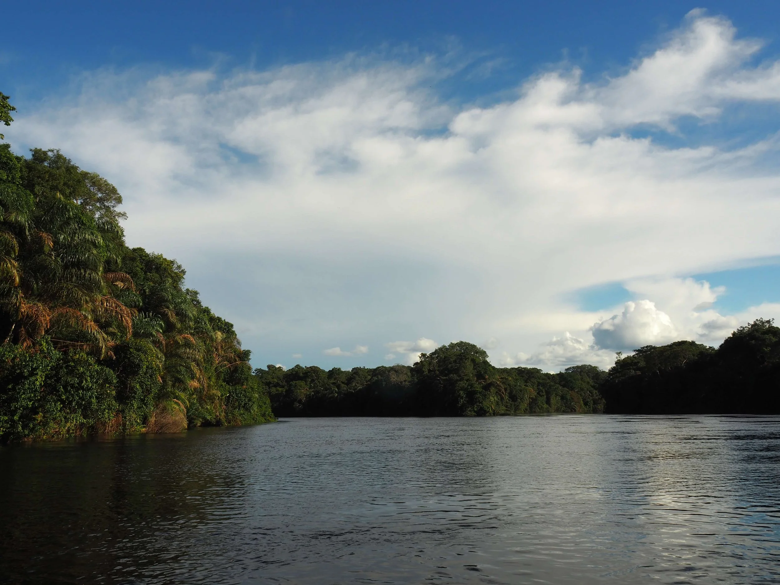 Salonga Yenge Junction Hi-res.JPG