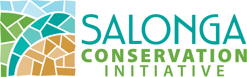 FR Salonga Conservation Initiative