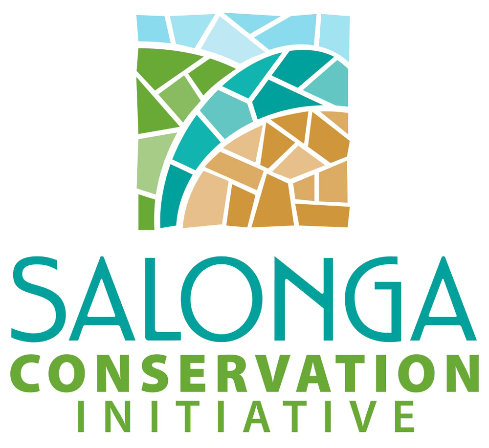 FR Salonga Conservation Initiative