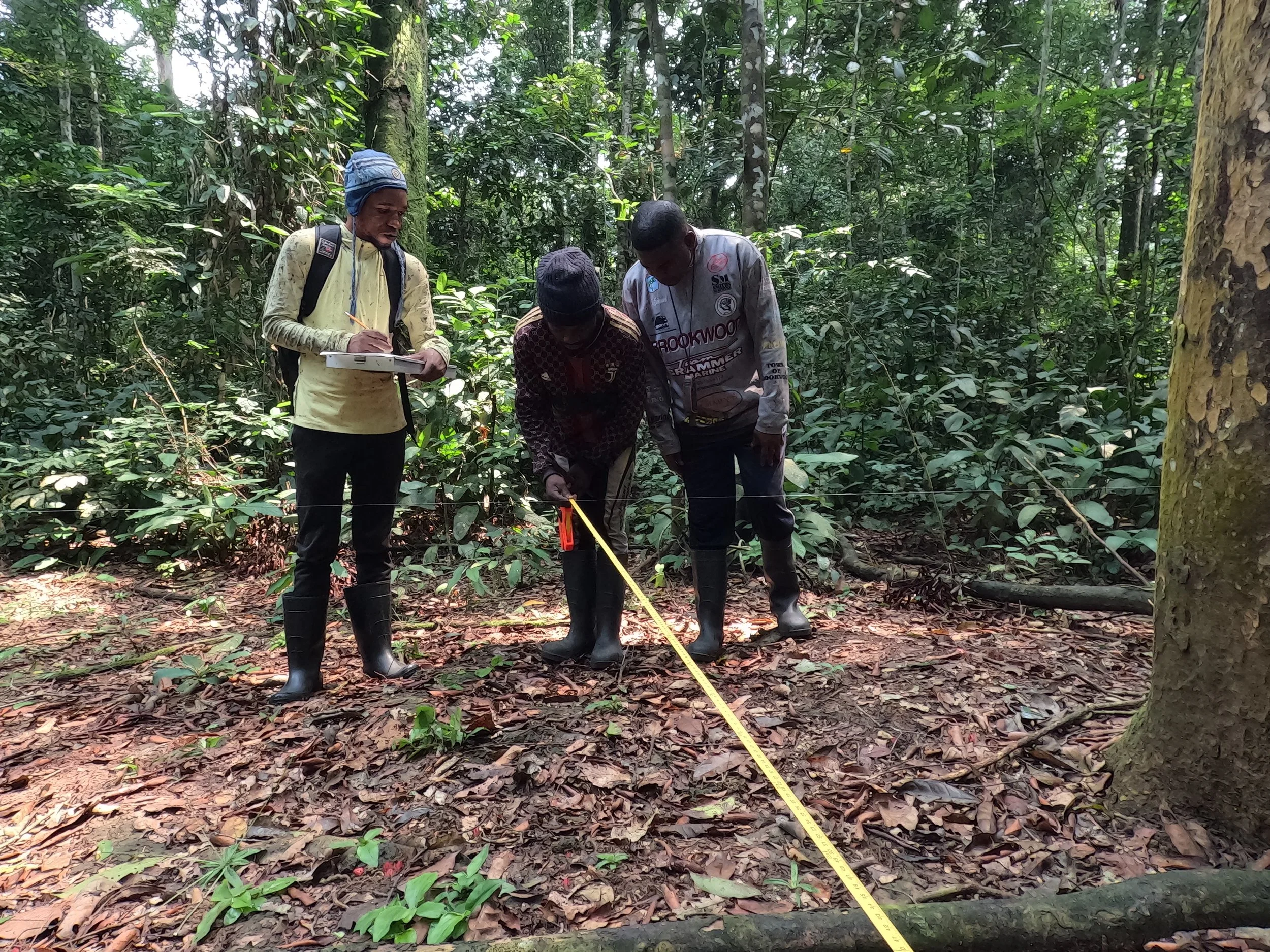 ANNONCE D’EMPLOI: Field Research Technician