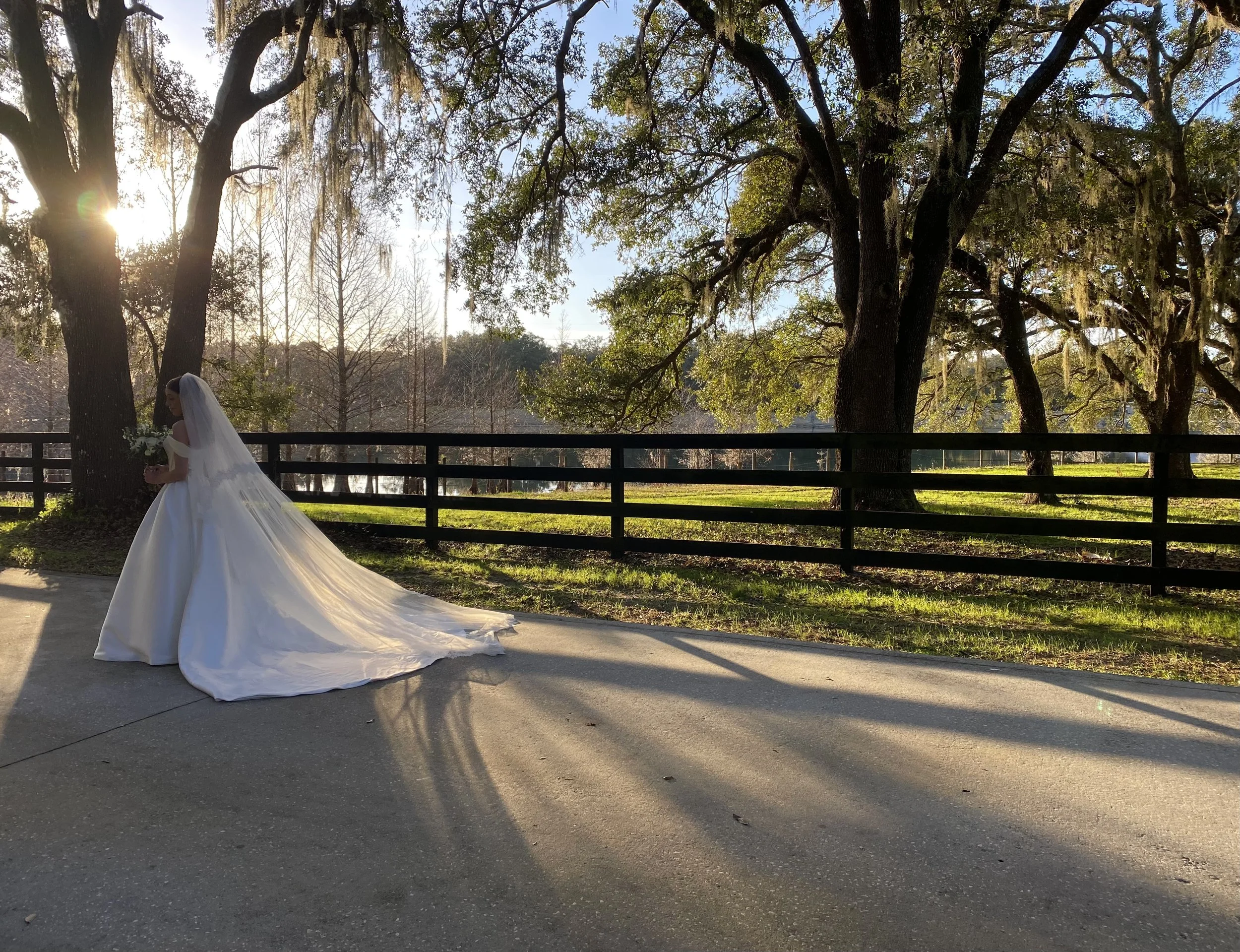 A bride in a white wedding dress and veil standing on a paved path near a black wooden fence and large trees with Spanish moss hanging from the branches, backlit by the setting sun.