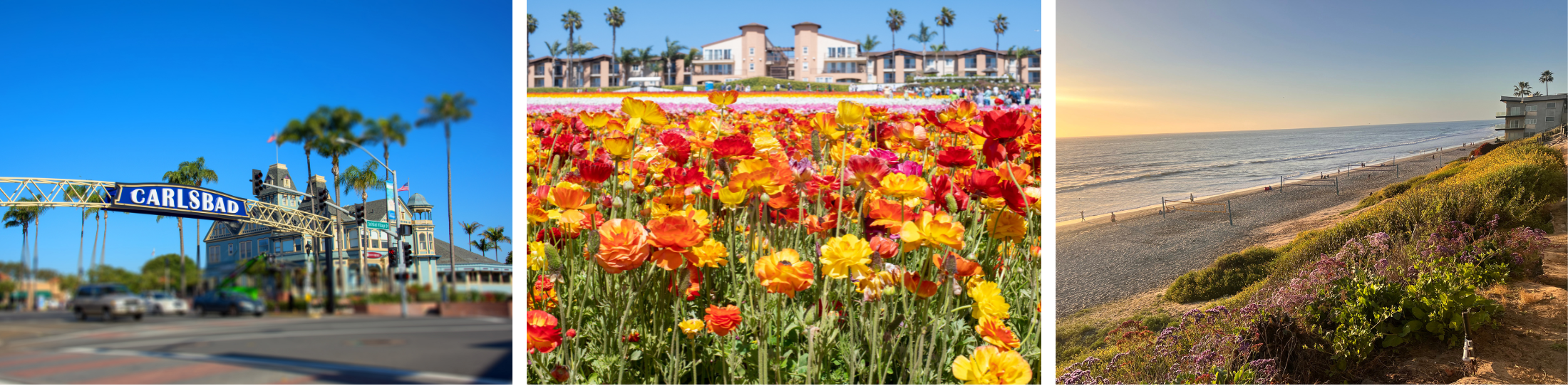 Carlsbad Real Estate Market Trends Homes