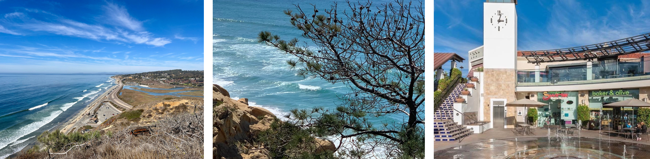 Carmel Valley San Diego Real Estate