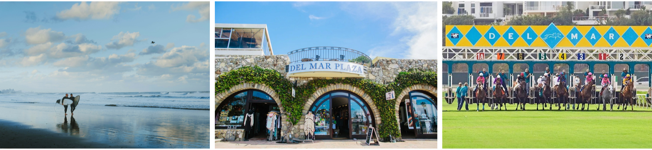 Del Mar San Diego Real Estate