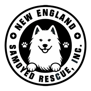 New England Samoyed Rescue, Inc.