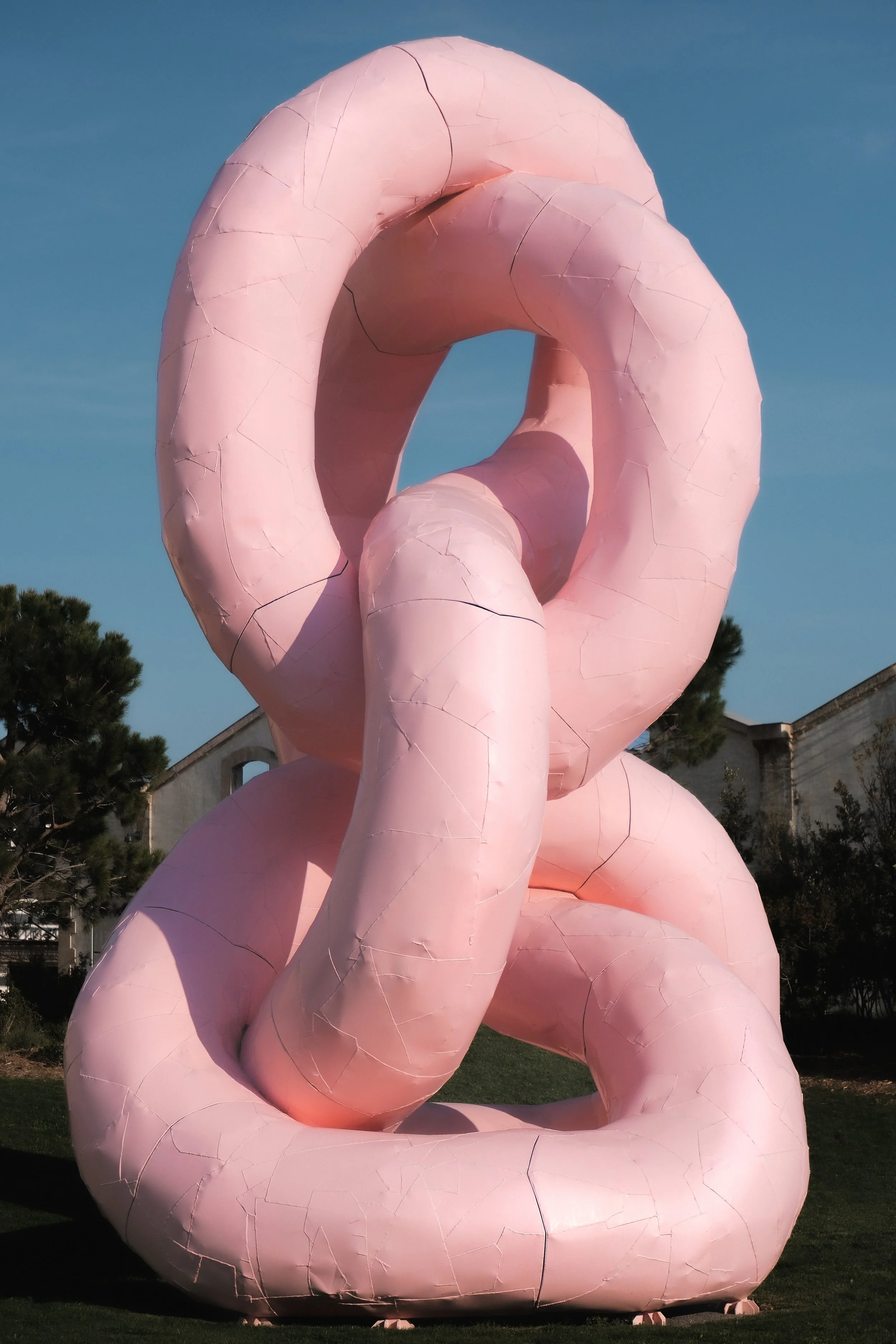 DSCF6779.jpg