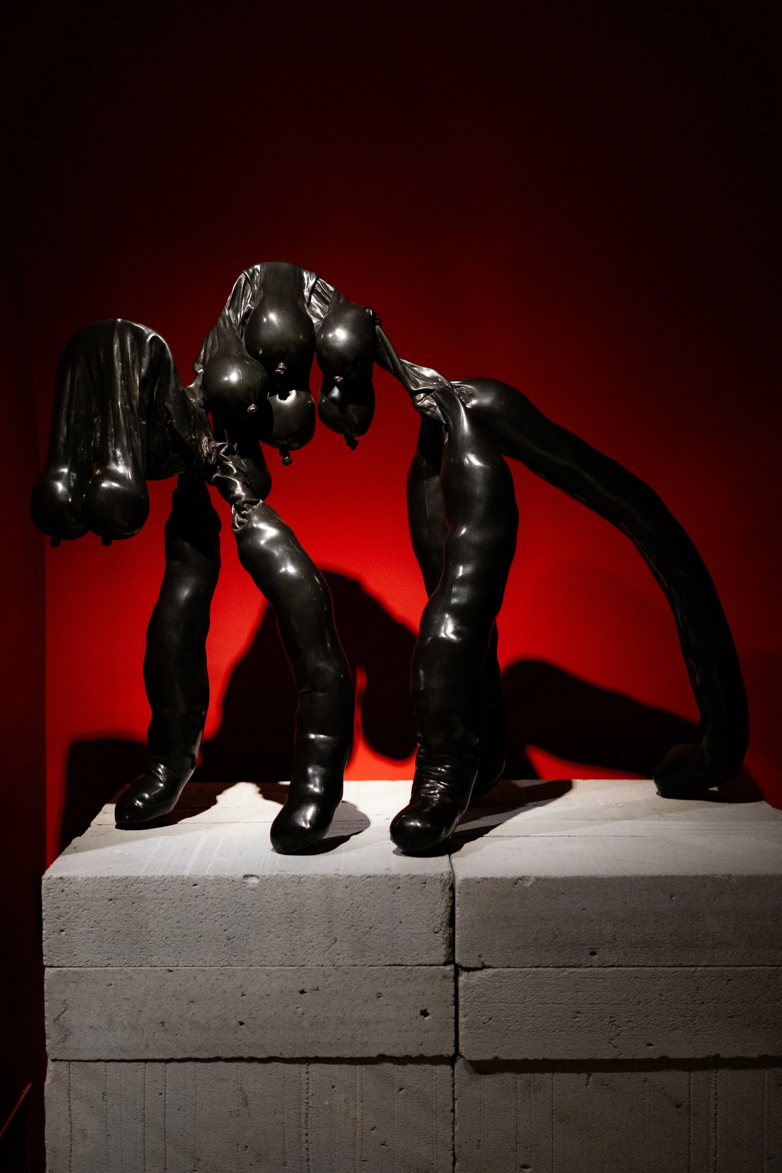 DSCF1267.jpg