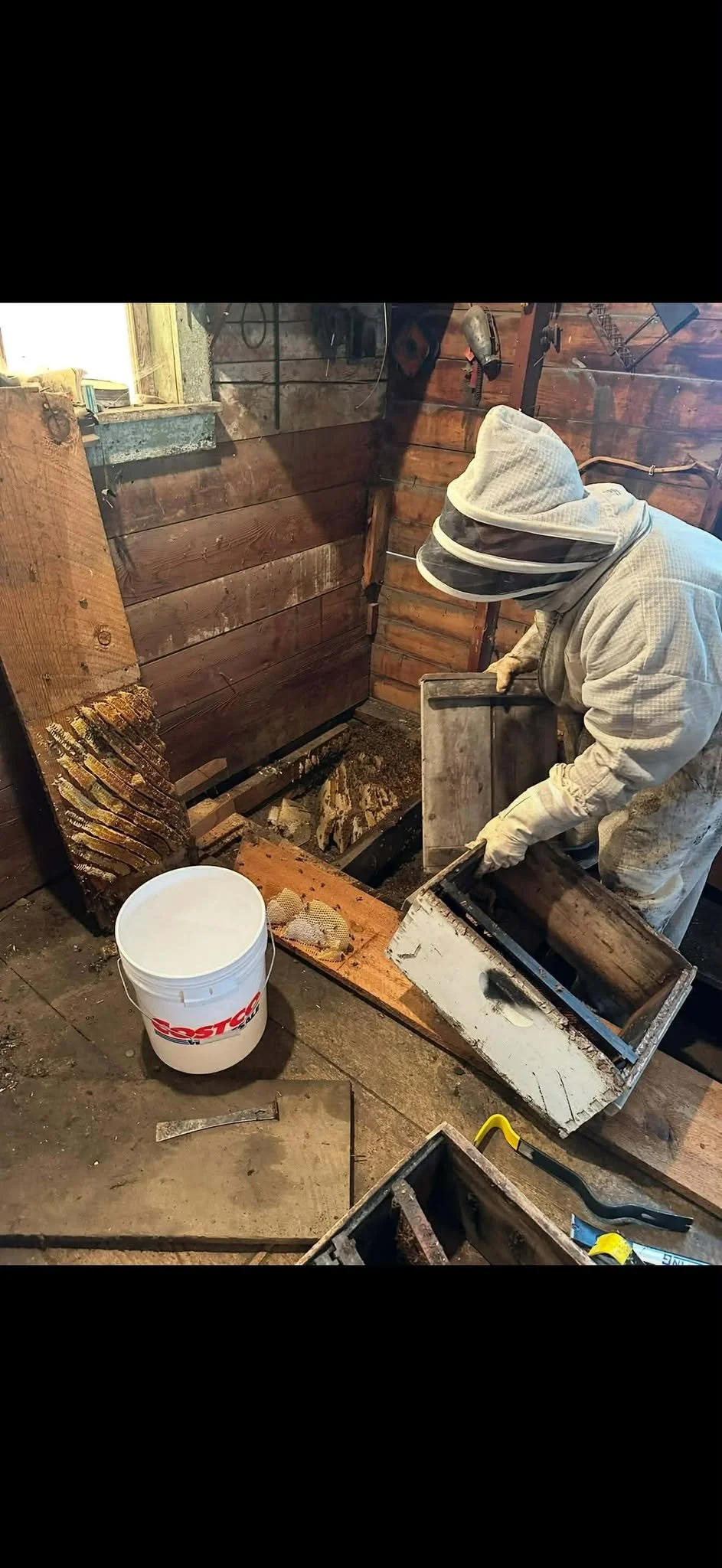 Bee Extraction