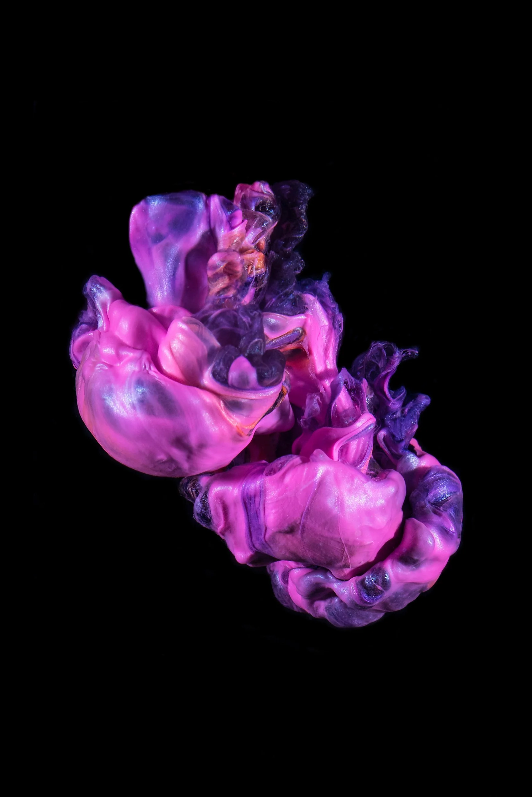 Abstract swirl of pink, purple, and blue ink in water against a black background.