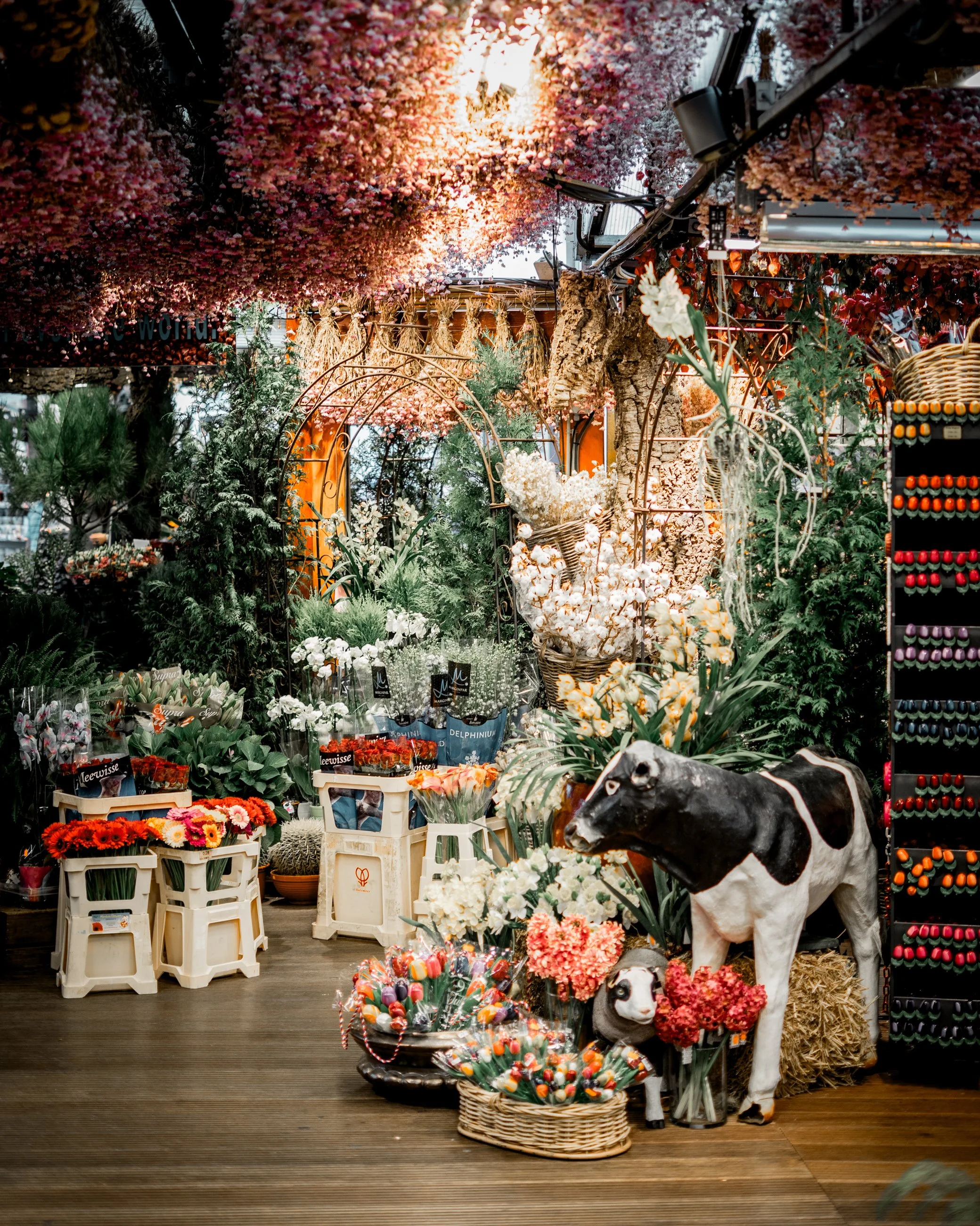 A vibrant flower shop decorated with pink and white blooms, potted plants, and greenery, including a life-sized cow and dog statues, baskets of flowers, and colorful specific decor items.