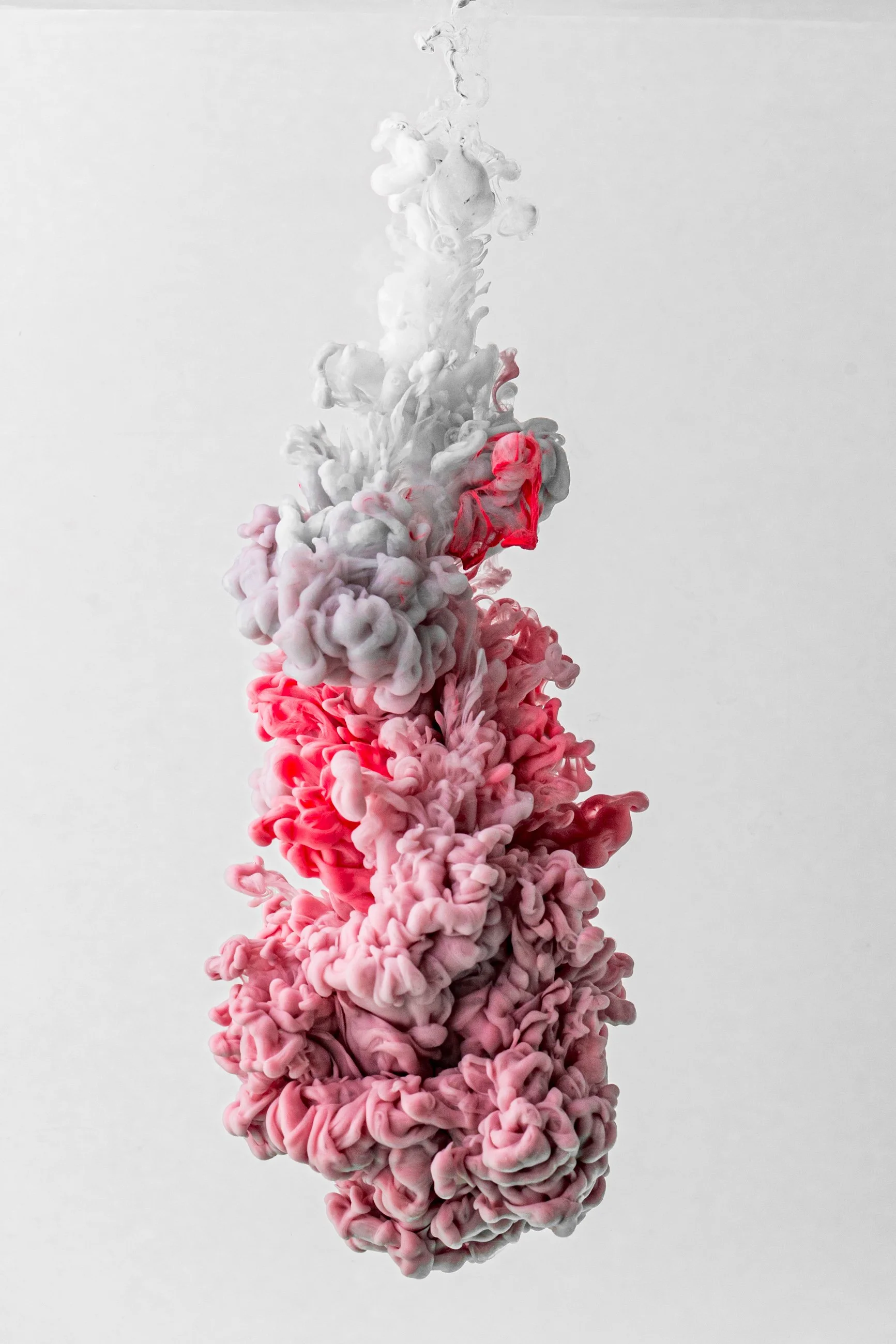 Pink and gray ink diffusing in water against a light gray background.