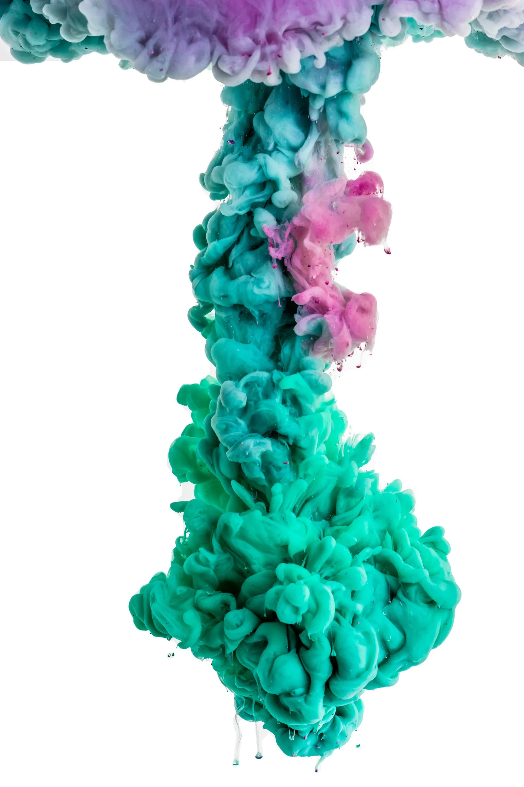Swirling cloud of teal, pink, and purple ink in water against a white background.