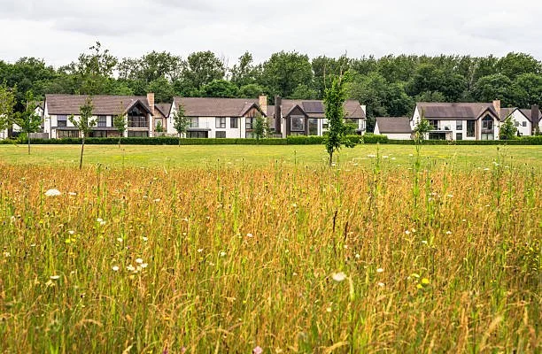 Free Consultation (20-45min)