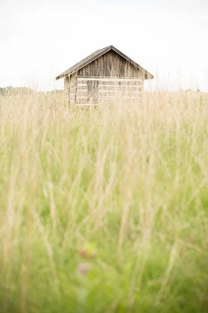 “Explore Your Options” Call (Non-Selling)