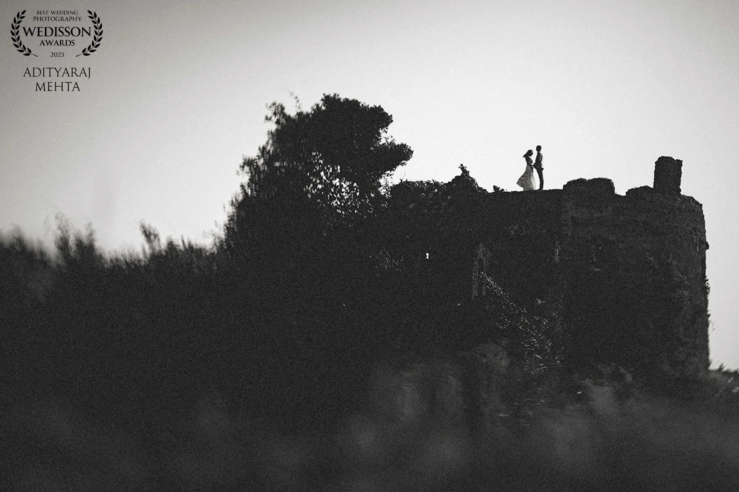 A black-and-white silhouette of a couple holding hands on a rocky hilltop, with trees around them, against a light gray sky, with award text in the top left corner.