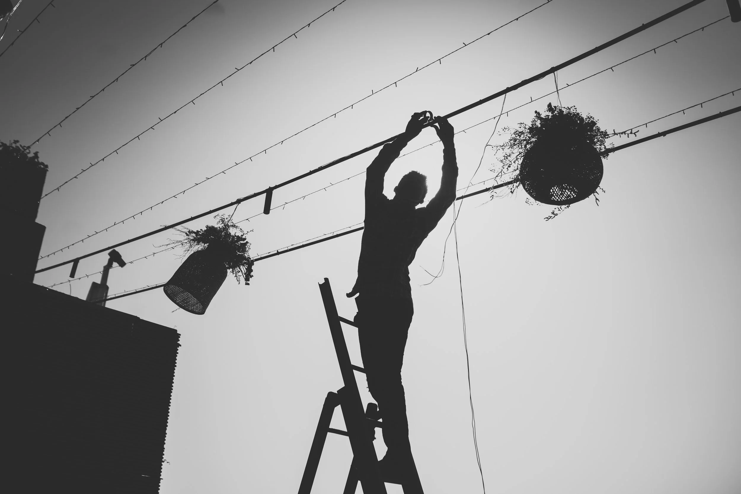 Silhouette of a person standing on a ladder hanging plants from a rooftop with string lights and wires against the sky