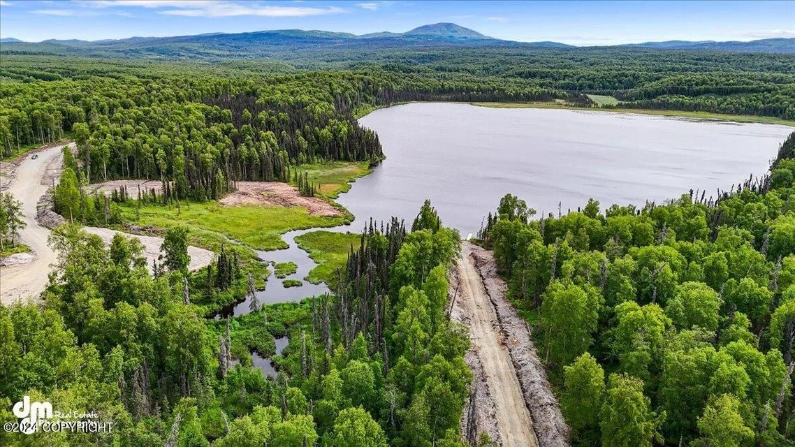 Aerial view of a lush green forest surrounding a large lake with a small waterway, mountain in the background, and clear blue sky