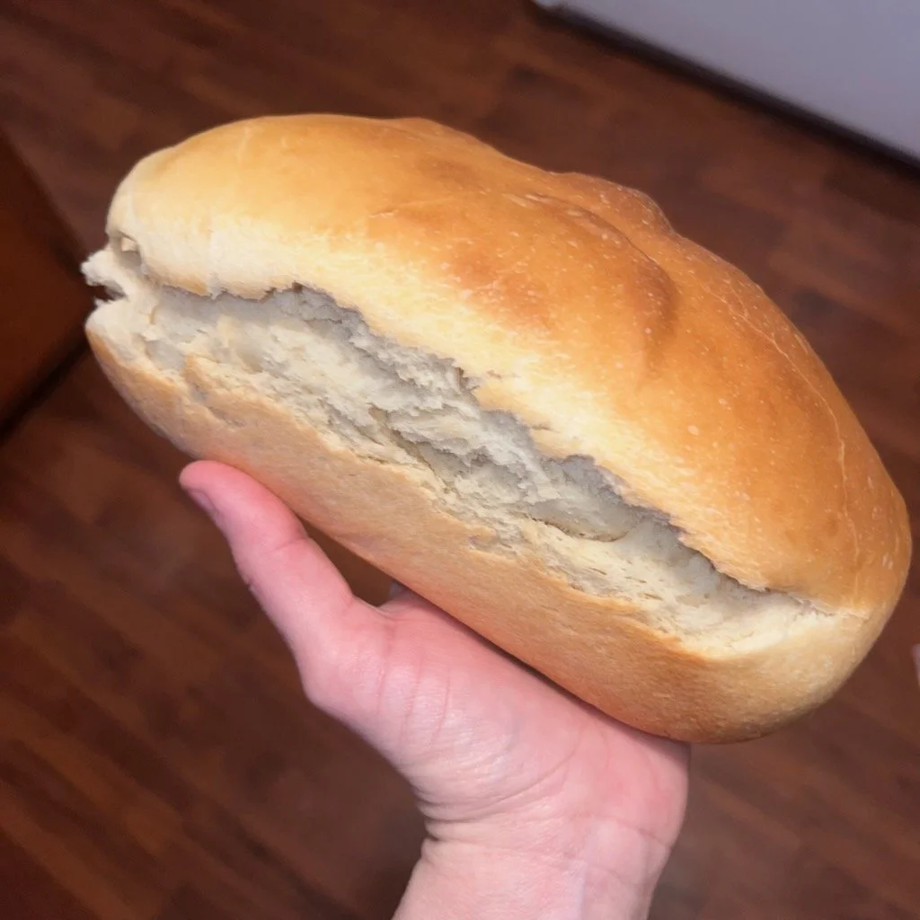 FullSizeR_01 (1).jpg