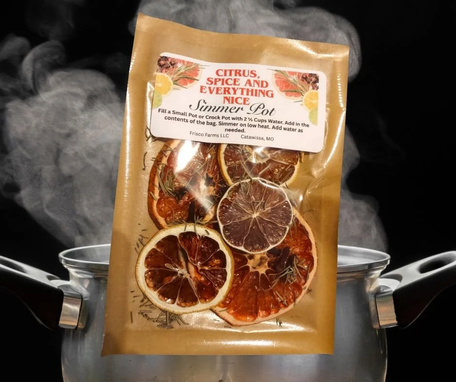 Citrus, Spice and Everything Nice Simmer Pot