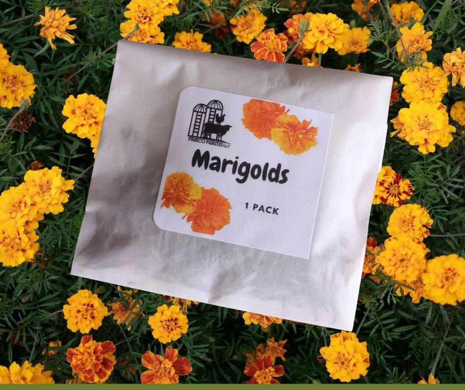 Marigold Seeds