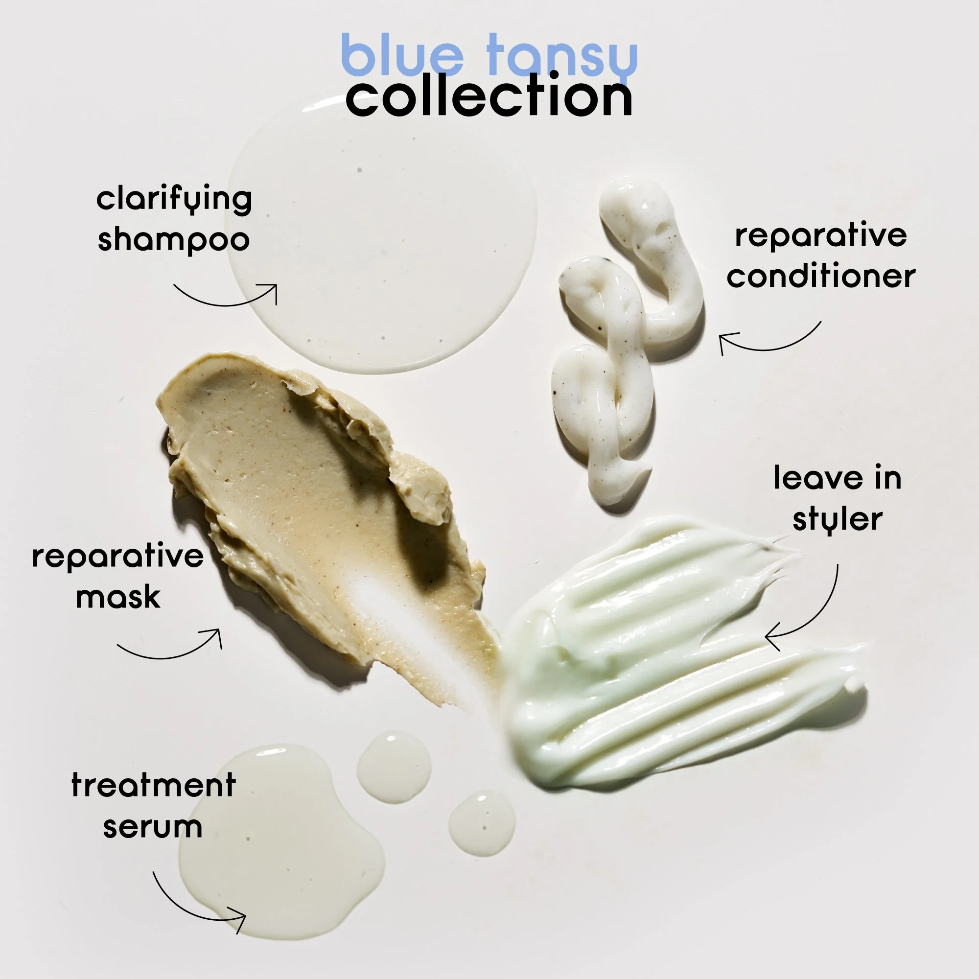 blue_tansy_collection (1).jpg (Copy)