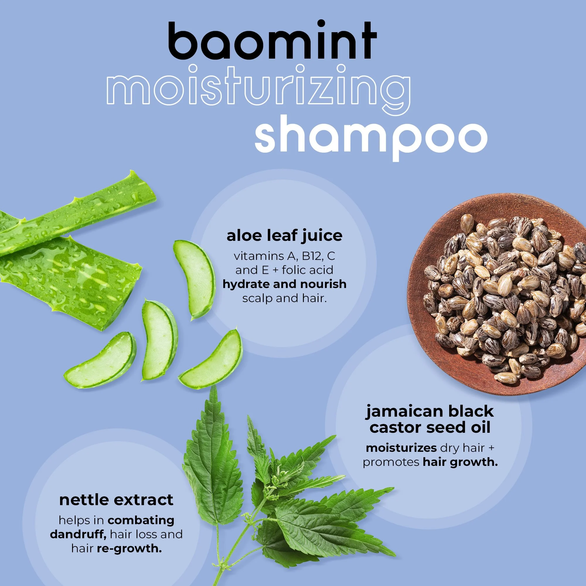 baomint_ingredients_02.jpg