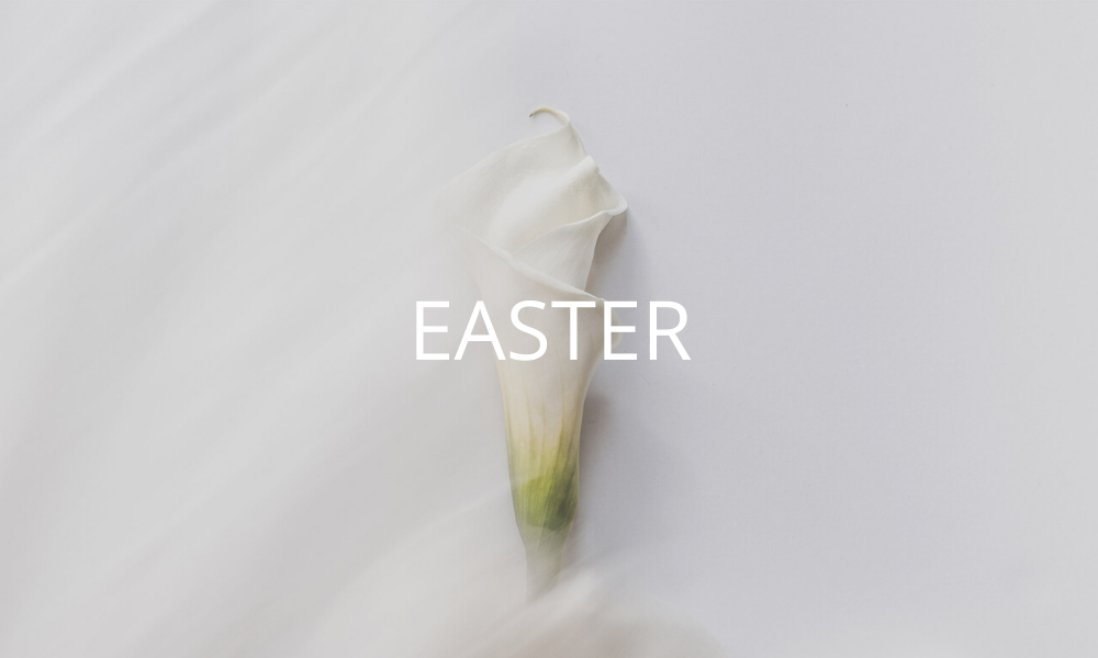 OPENWELL CHURCH PREACHING SERIES-33.png