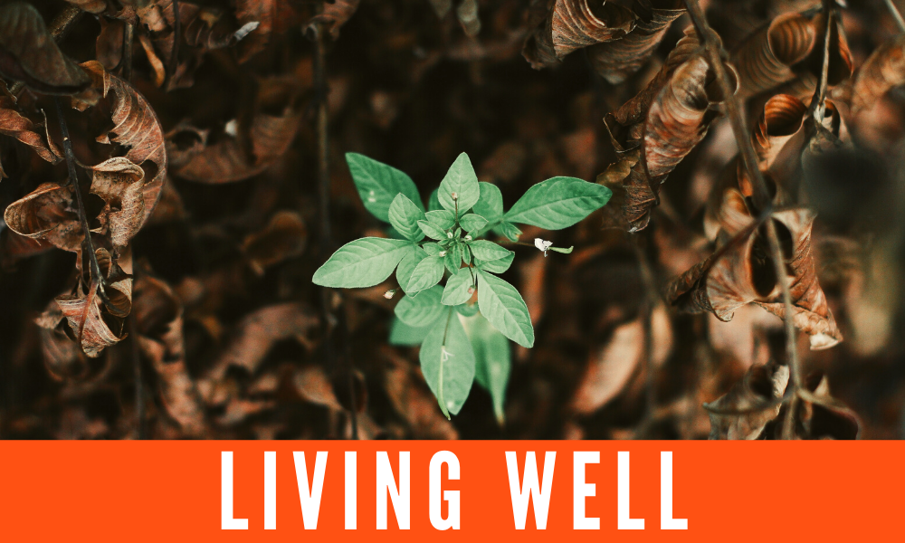 OPENWELL CHURCH PREACHING SERIES-12.png