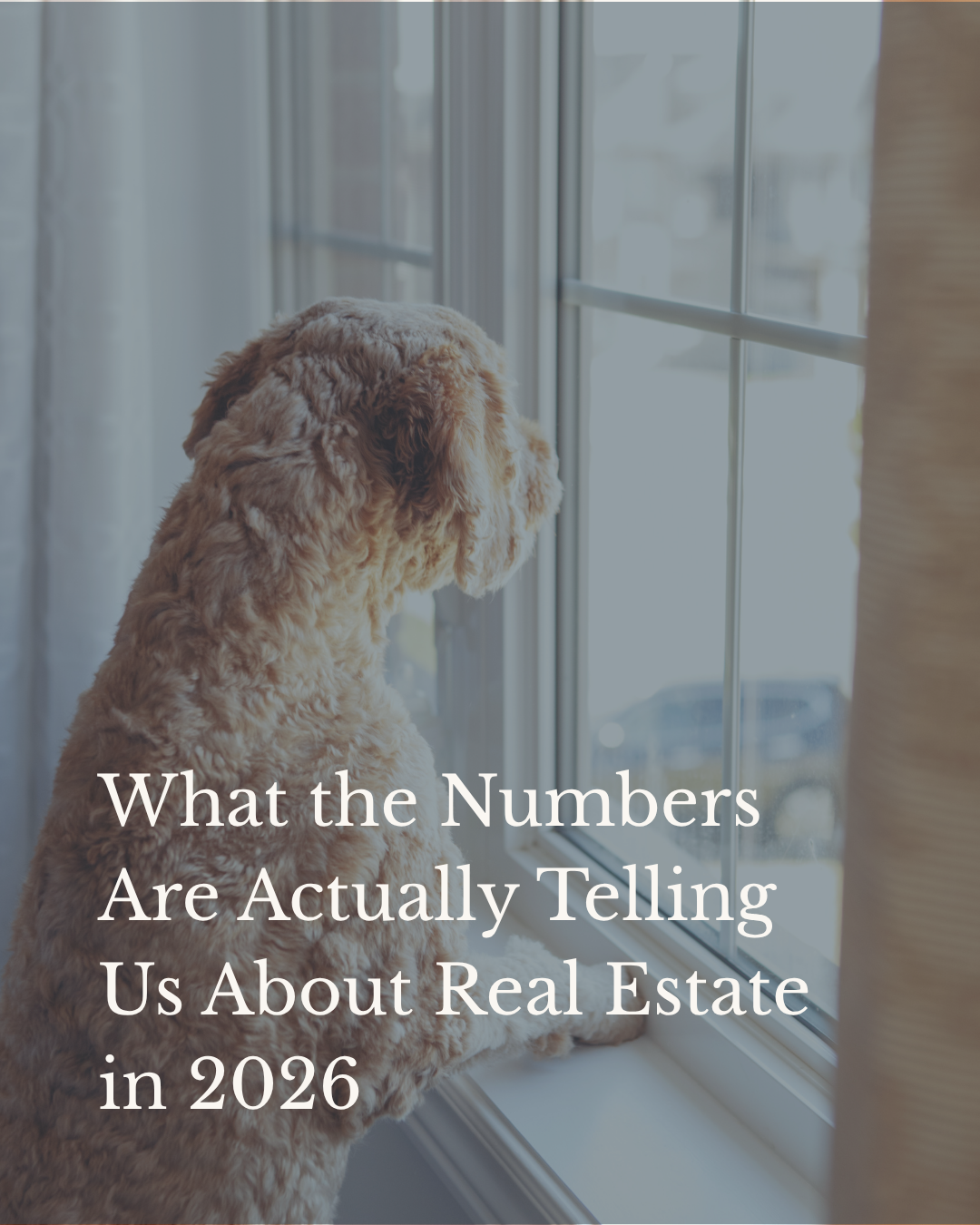 What the Numbers Are Actually Telling Us About Real Estate in 2026
