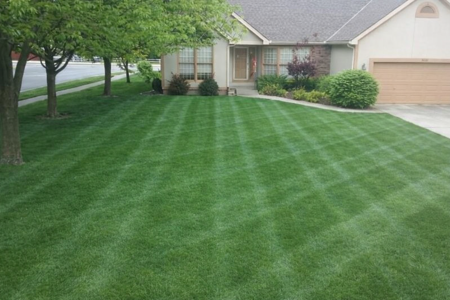 Front yard of a house with well-manicured green lawn, trees on the left, shrubs and bushes near the house, and a driveway on the right.