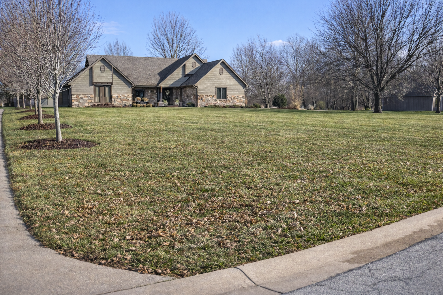 A suburban front yard with a large lawn, several leafless trees, a sidewalk, and a house in the distance under a clear blue sky.