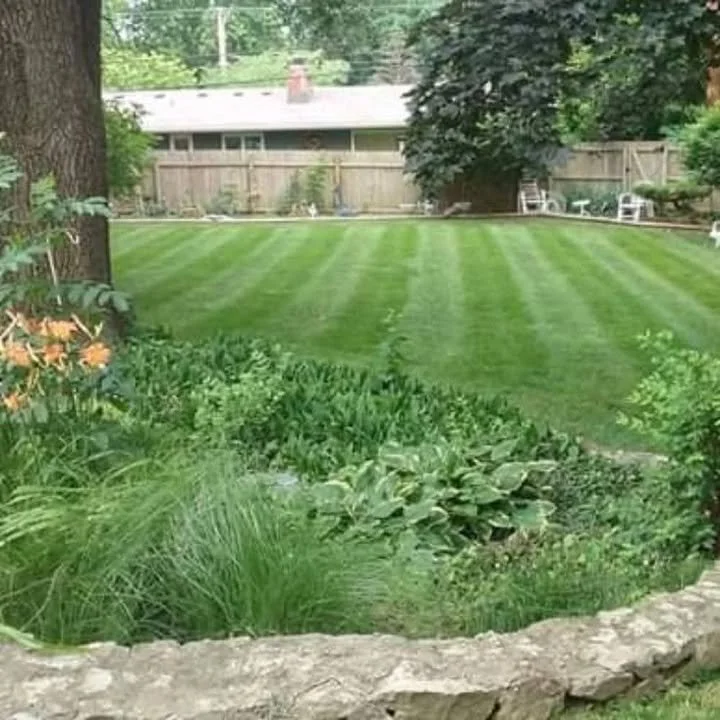 A backyard with a well-maintained green lawn, trees, and a wooden fence in the background.