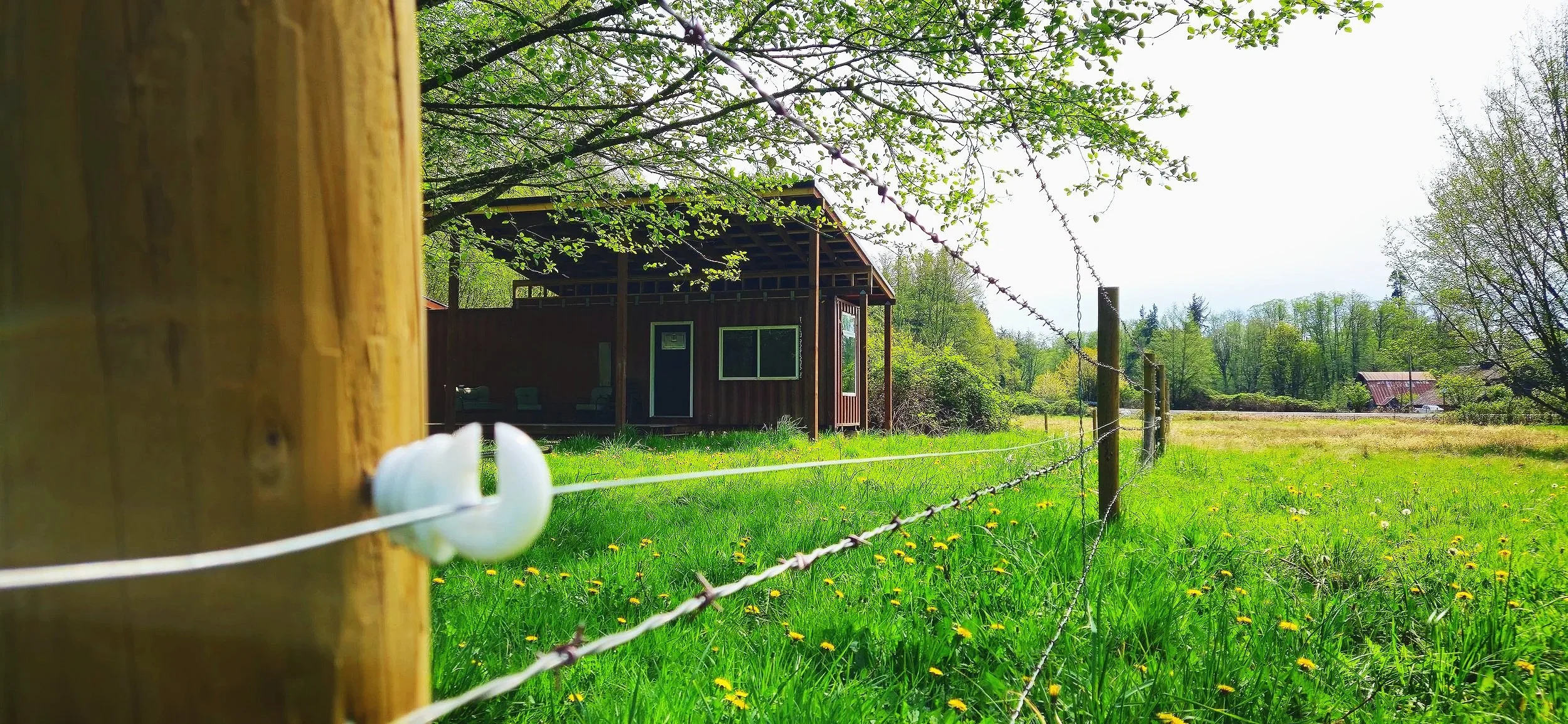 Beautiful Skagit county outdoor cabin