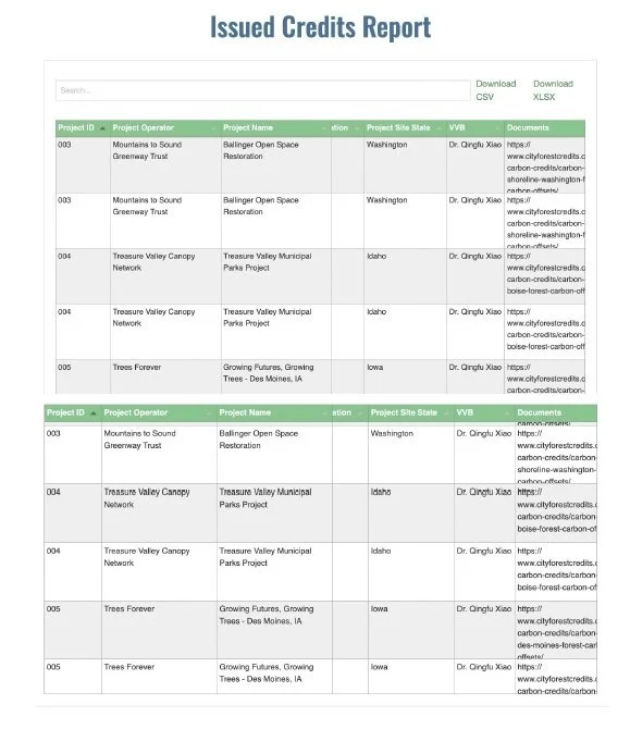 Screenshot of an issued credits report with project details, including Project ID, Project Operator, Project Name, Status, Project Site State, VVB, and Documents, sorted into two sections.