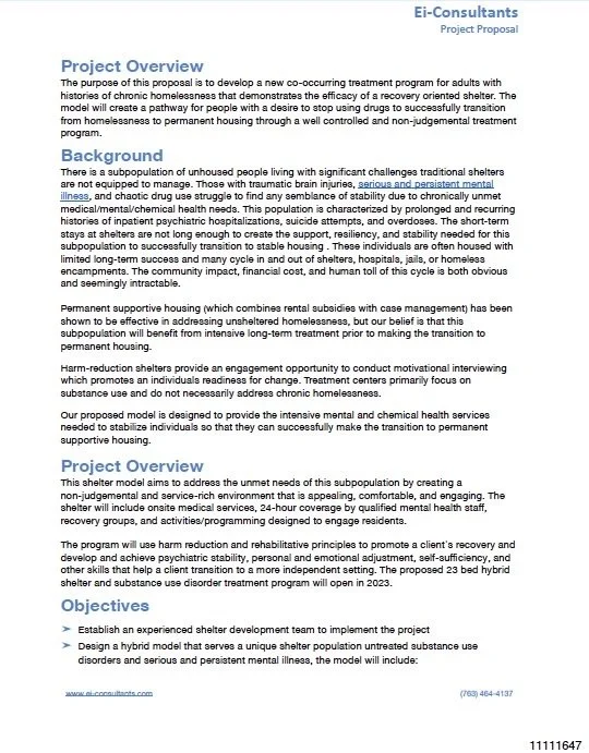 Screenshot of a document titled 'Project Proposal' by Ei-Consultants, outlining a project focused on developing a treatment program for adults with chronic mental health issues, including background, project overview, and objectives.