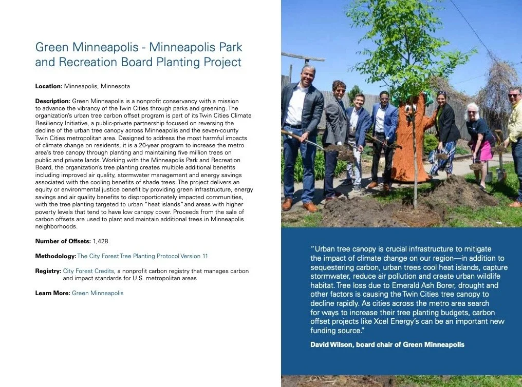 Group of people planting a tree along with a person in a costume, outdoors on a bright sunny day.