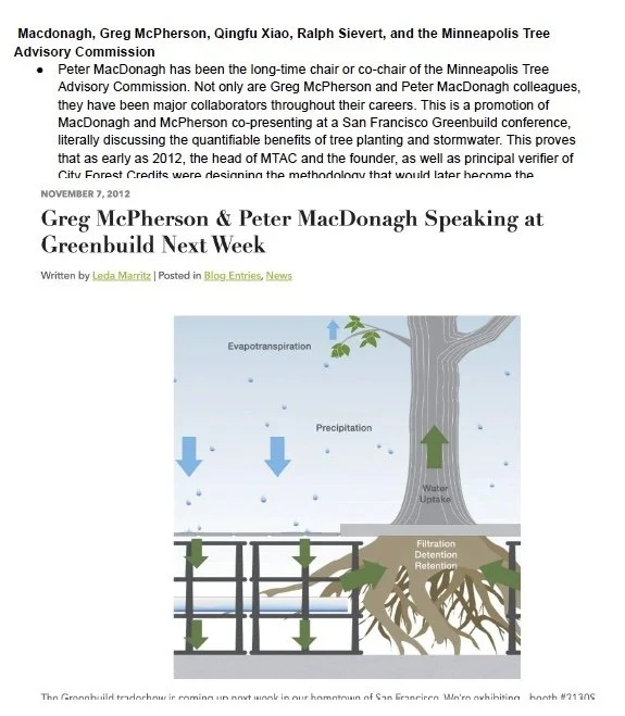 Diagram showing the water cycle with trees, illustrating evaporation, precipitation, water uptake, and filtration stages.
