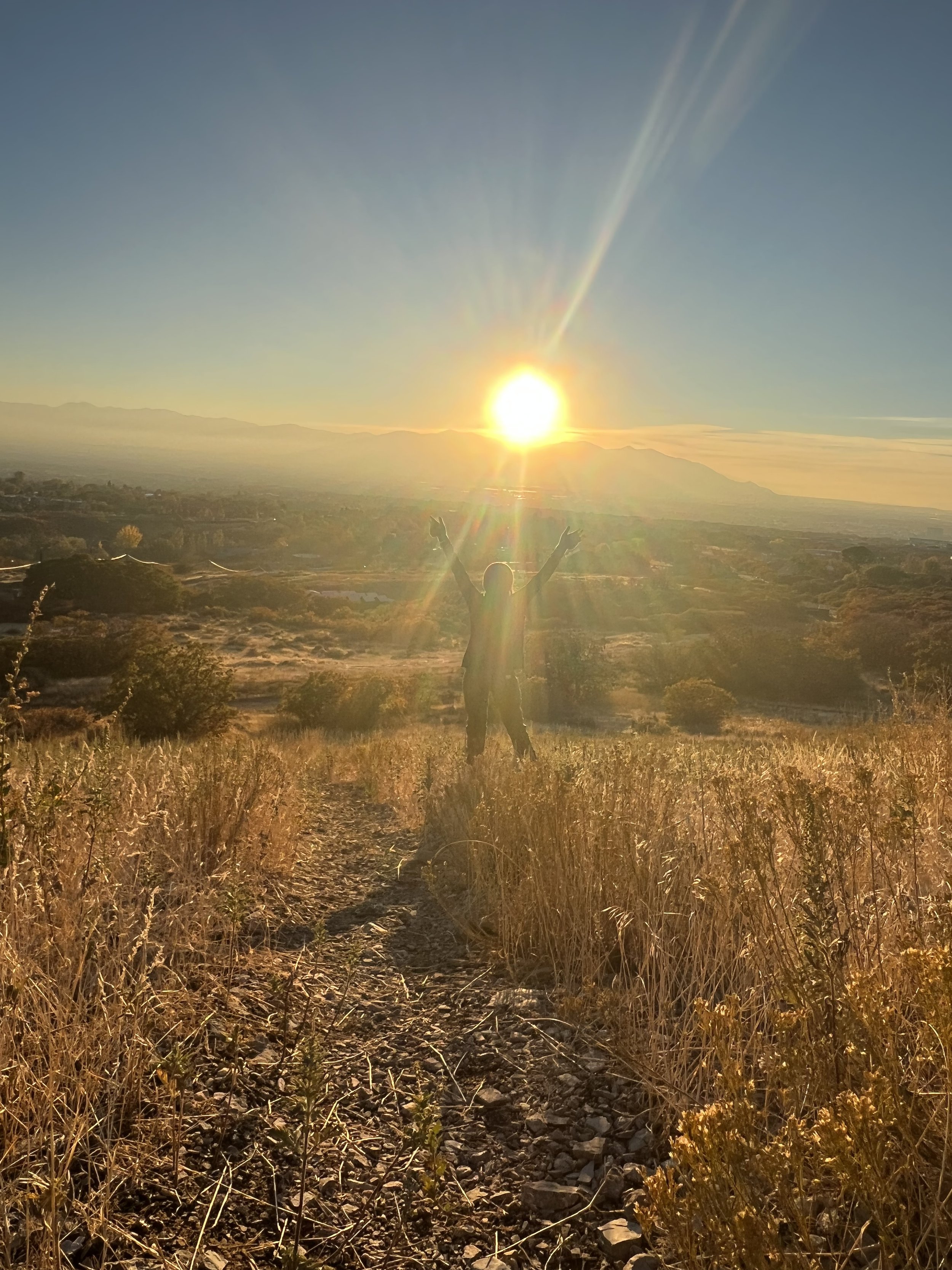 Reconstruction Package