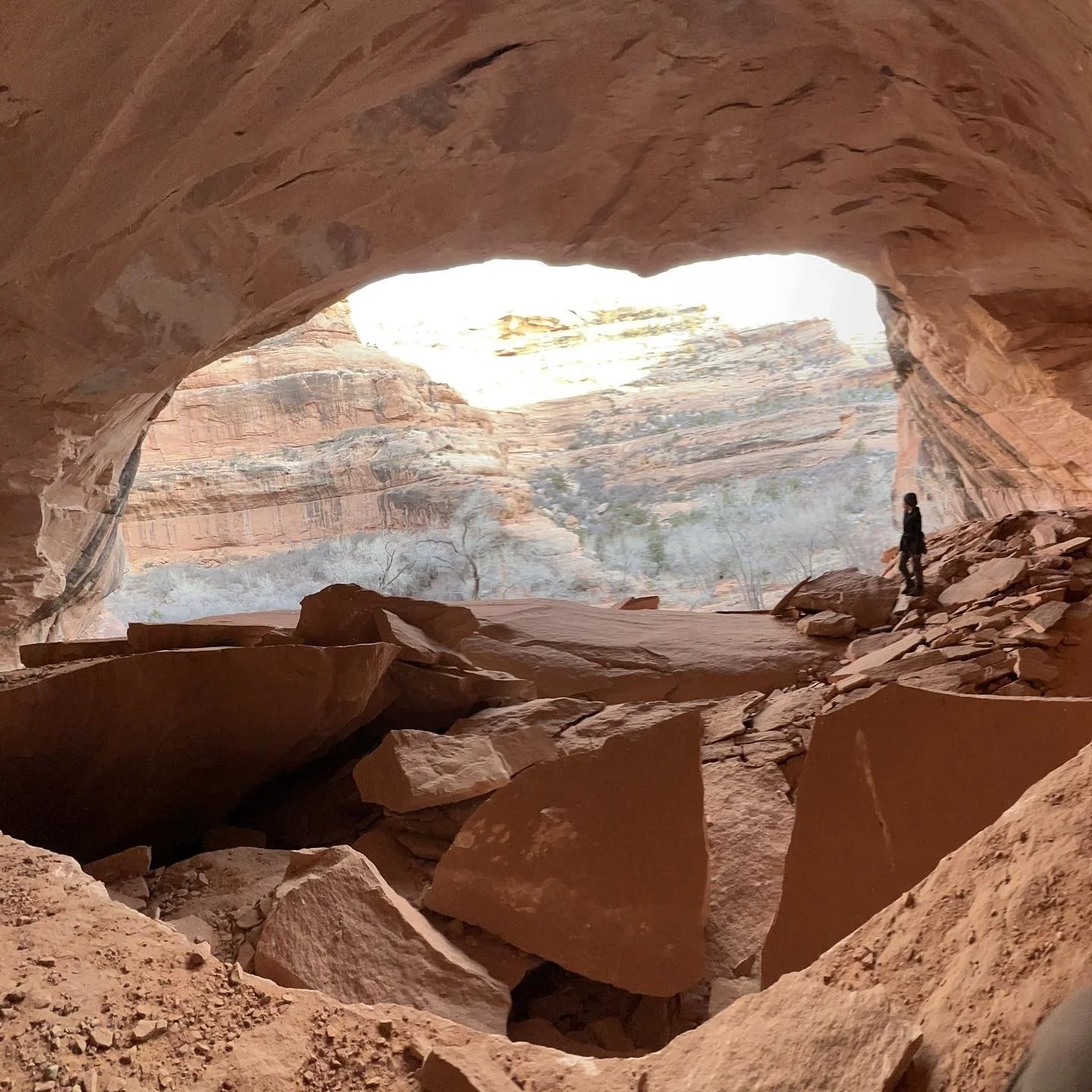 Astrology Natal Chart Reading