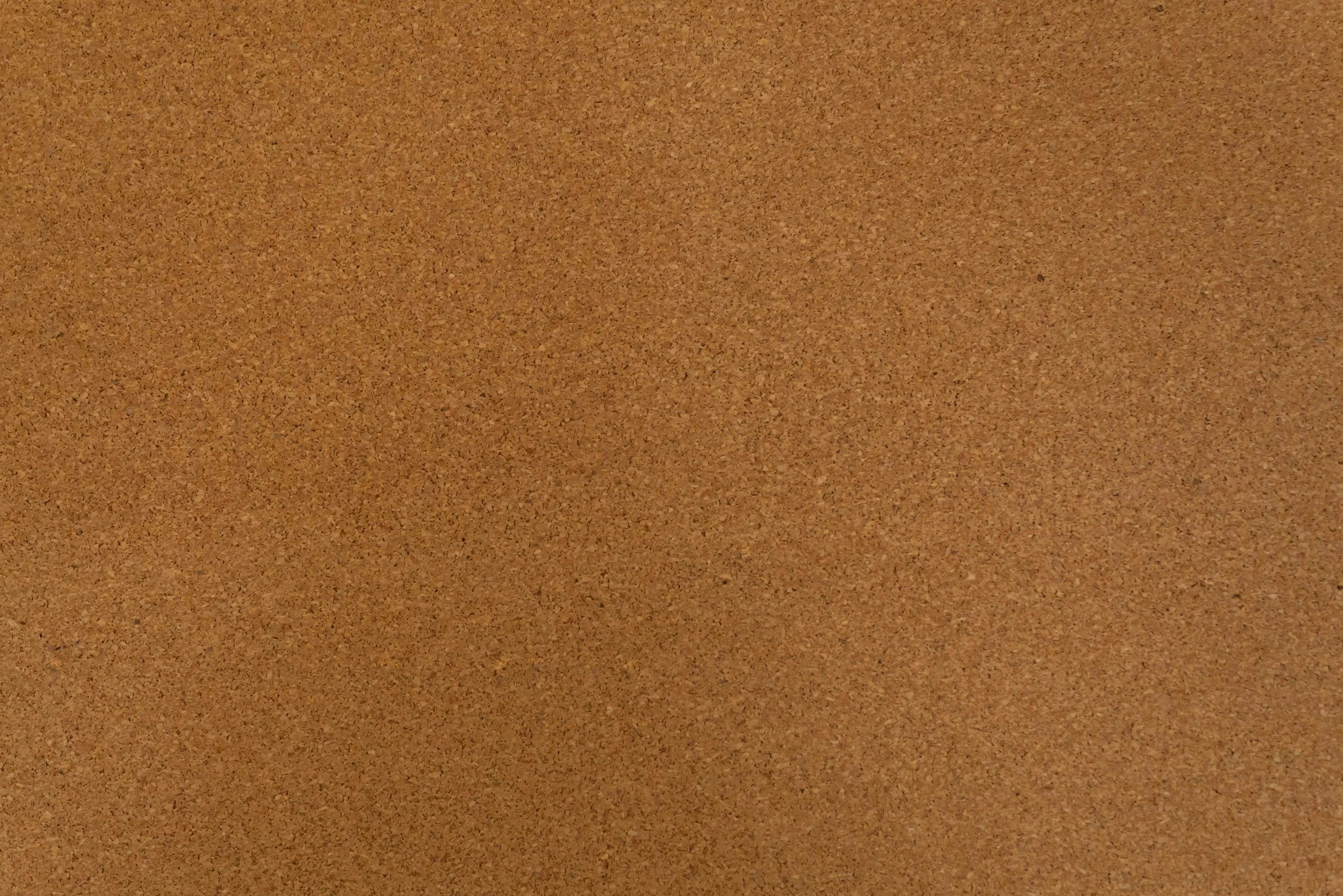 A close-up image of a brown corkboard surface.