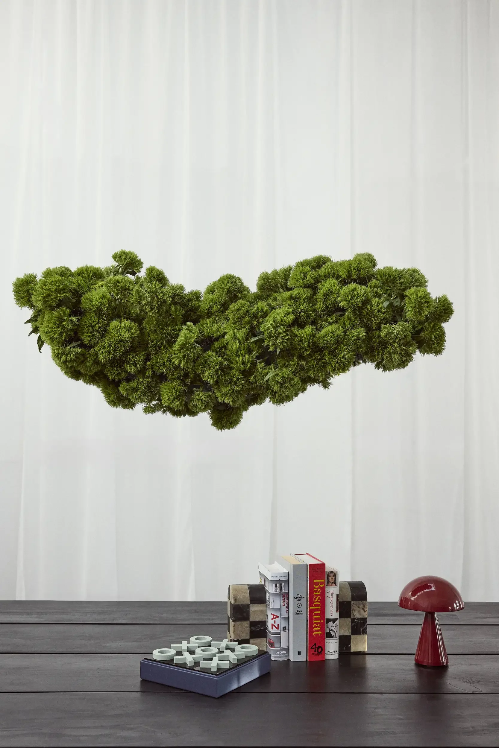 A floating green plant, a stack of books, a red mushroom-shaped decorative object, and small game pieces on a dark wooden table.