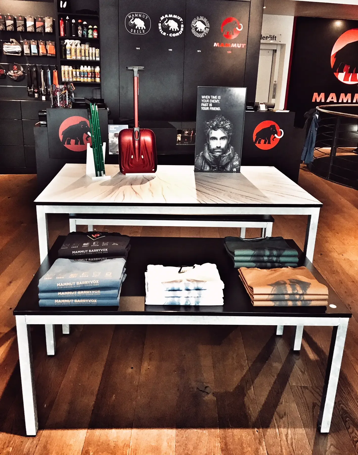 mammut-1.webp