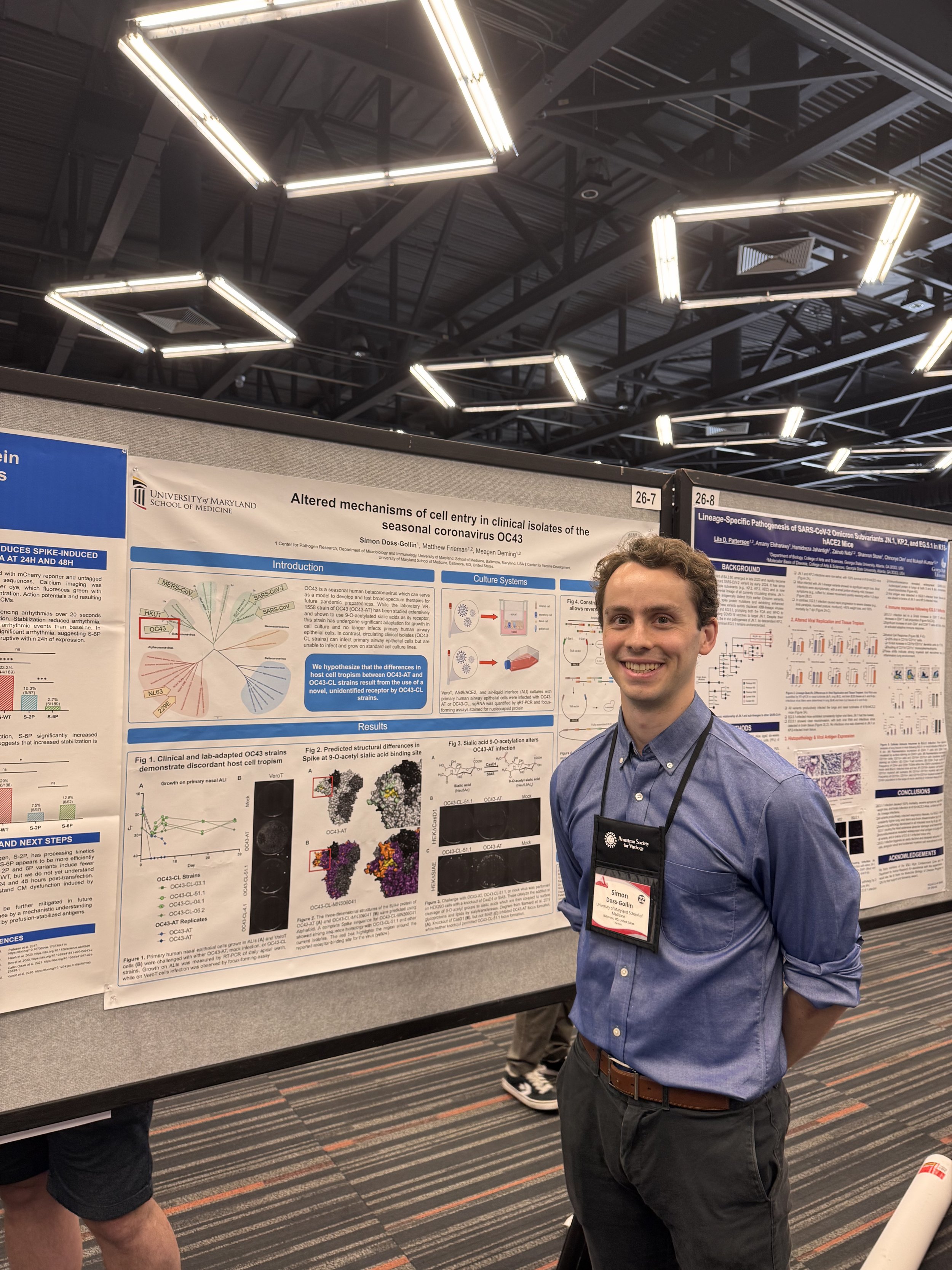 A young man standing in front of a research poster at a conference, smiling at the camera. The poster discusses mechanisms of cell entry in the coronavirus OC43, displayed on a large board with scientific charts and diagrams. The man is wearing a blu